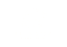 BRINDISA